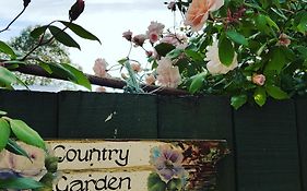 Dragonflycottagebnb
