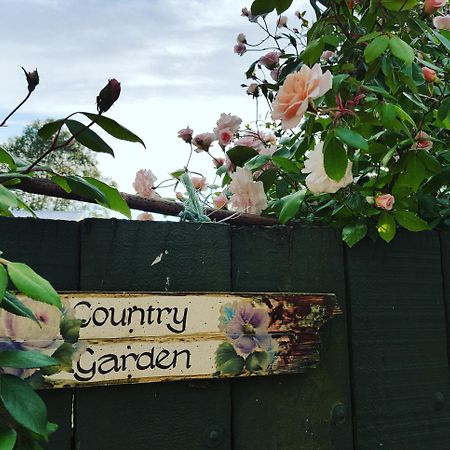 Dragonflycottagebnb Grovetown Exterior photo